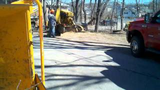 JD's tree service ma