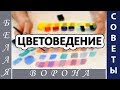 Как смешивать цвета. Обзор видеоуроков по цветоведению. Основы ЦВЕТОВЕДЕНИЯ.