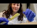 ASMR Nexplanon Insertion At The OBGYN Birth Control Consult Soft Spoken Medical Roleplay 