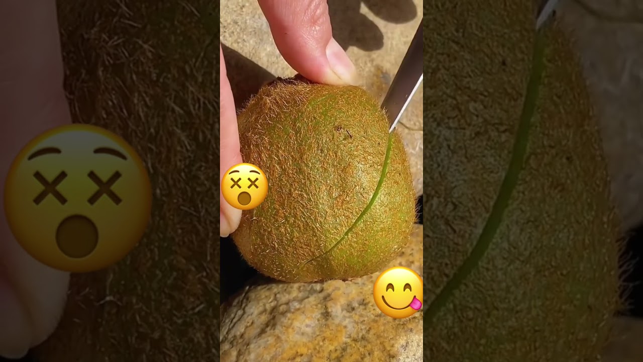 #kiwifruit