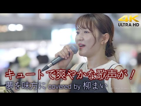 【 歌うま 】キュートで爽やかな歌声が！　 夢を味方に / 絢香（ covered by 柳まい ）4K映像