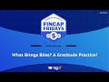 Fincap friday what brings bliss a gratitude practice  hosted by missbehelpful