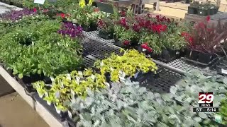 Spring is here; experts say fluctuating temperatures can affect plants