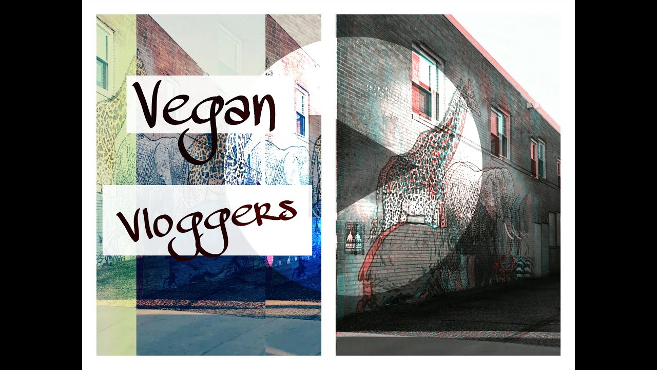 The Vegan Vloggers