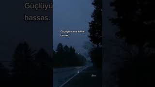 Whatsapp Ucun Sevgiyə Aid Maraqlı Statuslar Sounds App Mahnı Status Ucun Video Qısa