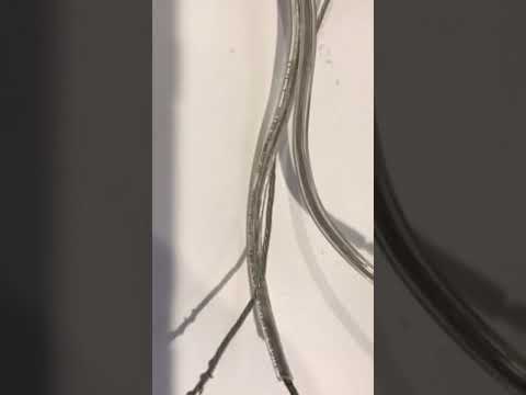 Video: En el cable de la lámpara, ¿cuál es el cable caliente?