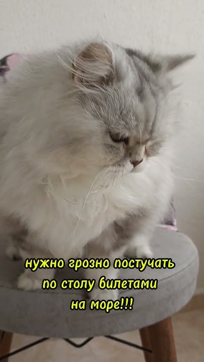 Способ проучить жену - YouTube