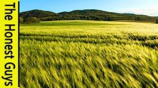 CAN'T SLEEP? GENTLE GUIDED SLEEP MEDITATION with Wind Nature Sounds