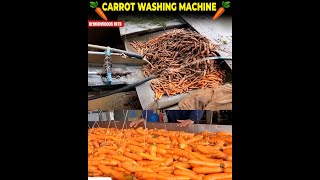 Carrot விதை 25 ஆயிரம் ரூபாய்-ஆ ?