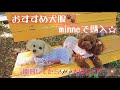 【犬服おすすめ】minneで可愛く＊安く＊ジャストサイズの犬服紹介