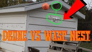 Dji Phantom Drone Vs Wasp Nest * More Dumb Things With Drones *