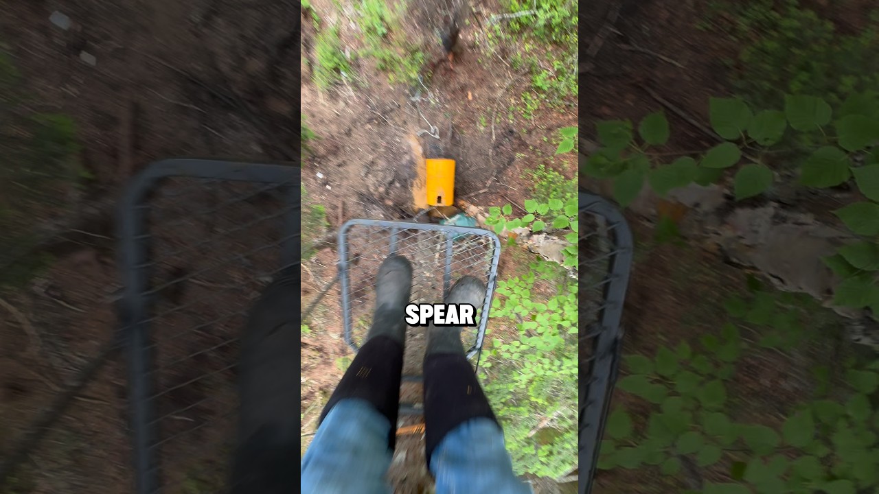 I Set Up A Bear Spear Tree... #hunting #outdoors