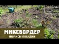 Миксбордер | Нюансы посадки