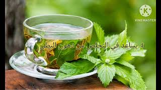 فوائد الشاي الاخضر نحو صحة_أفضل