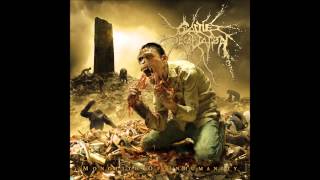 Cattle Decapitation // Projectile Ovulation (HQ)