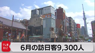 ６月の訪日外国人数 １年前より3.6倍以上　コロナ前比で99％減（2021年7月21日）