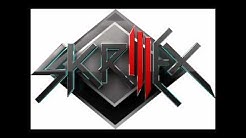 Skrillex ft. 12th Planet - Needed Change [HD w/ Free Download link]  - Durasi: 4:03. 