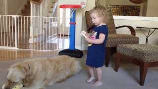 Toddler Brushes Golden Retriever on Its Birthday by TuBob Shakur 9,694 views 10 years ago 1 minute, 59 seconds