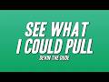 Devin The Dude - See What I Could Pull (Lyrics)