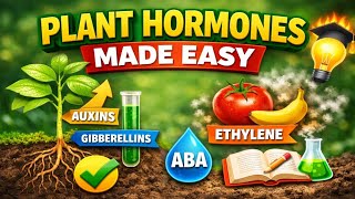 Jamb 2026 Biology  Plant Hormones You Must Know For Jamb 2026  Biology Made Simple