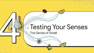 The Nasal Examination