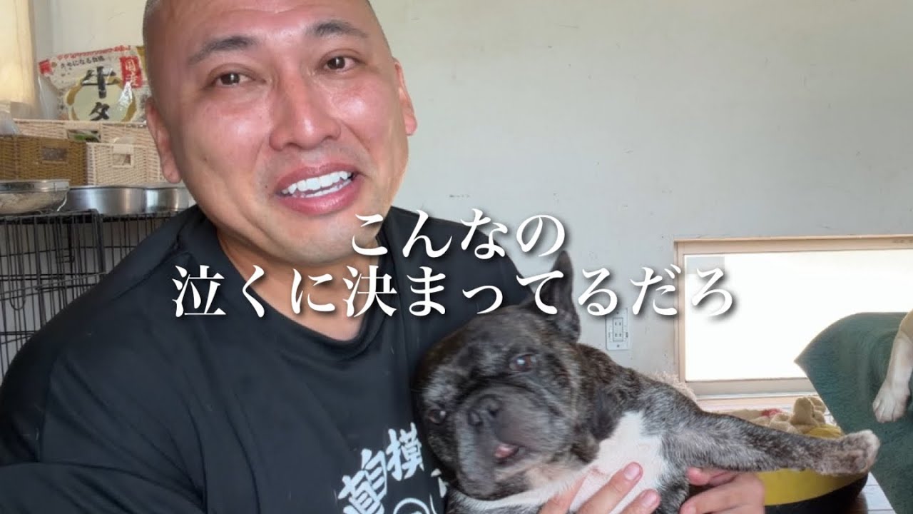 しげちー様 YouTube