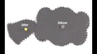 Computational Design and Optimization of Non-circular Gears (Eurographics 2020)
