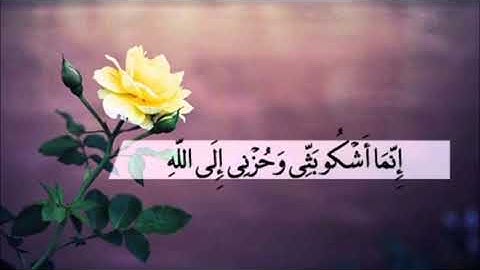 إني لأجد ريح يوسف - تلاوة مؤثرة حزينة