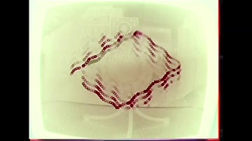 EMS SYNTHI A / study 2