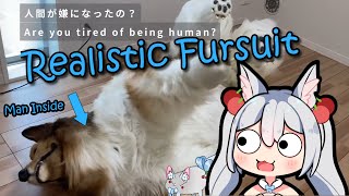 Cursed Fursuits (all of them are)