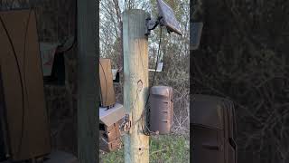 Cuddeback Tracks Scoutlid