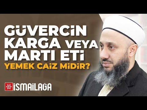 Güvercin, Karga, Kumru, Martı Eti Yemek Câiz midir? Fatih Kalender Hoca Efendi