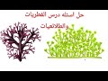 حل أسئلة درس الفطريات والطلائعيات صفحة 79 علوم الصف السابع