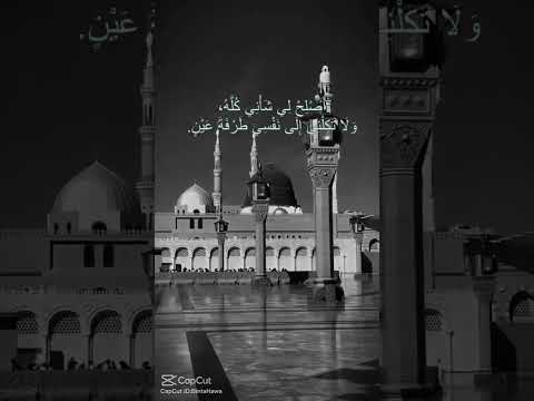 Subhaan Allah 🤗