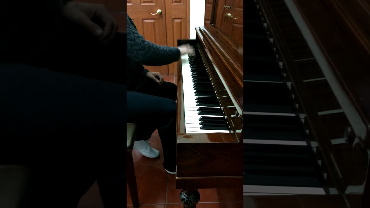 El Perfil de Paimon - Erik Suárez Cosío