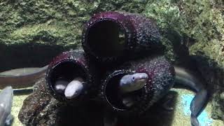 210A559C C9D9 4Feb B769 Cf8F4847907E