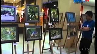 SINDOTV GORONTALO ; HULONTHALO NEWS ; GORONTALO RAYAKAN KERAGAMAN BURUNG INDONESIA