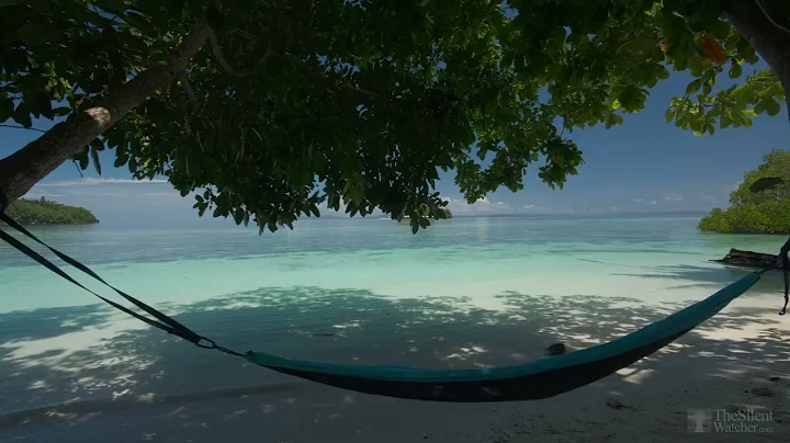 4K HDR Tropical Beach - Gentle Ocean Wave Sounds - Peaceful Wild Island - Relaxing Nature Video