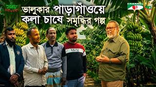 ভালুকার পাড়াগাঁওয়ে কলা চাষে সমৃদ্ধির গল্প | Shykh Seraj | Channel I