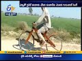 This Punjab Man’s Stunning Wooden Cycle Is Viral