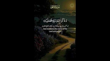 #سورة_الاعلى  (ثُمَّ لَا يَمُوتُ فِيهَا وَلَا يَحْيَى قَدْ أَفْلَحَ مَنْ تَزَكَّى )