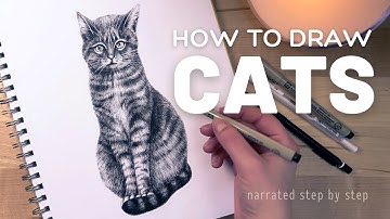 How To Draw a Realistic Cat With a Pen // Step By Step Tutorial