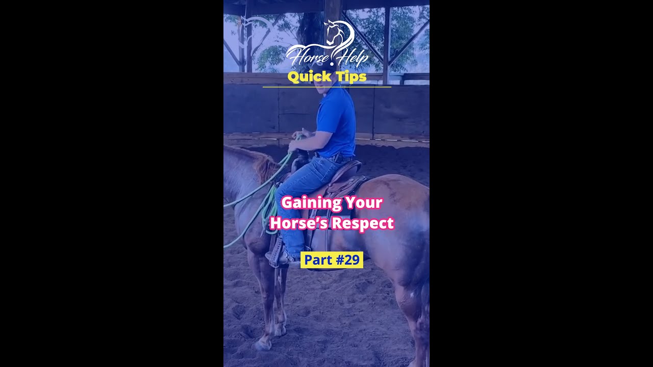 Quick Tips On Gaining Your Horse's Respect! Part 29! The Horse GuruMichael Gascon YouTube