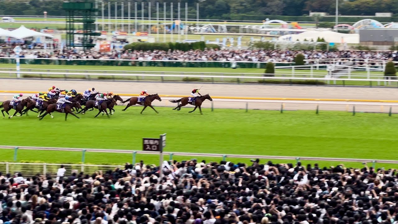現地映像 4K】2024.10.27(日) 東京11R 天皇賞(秋) (GⅠ)【ドウデュース