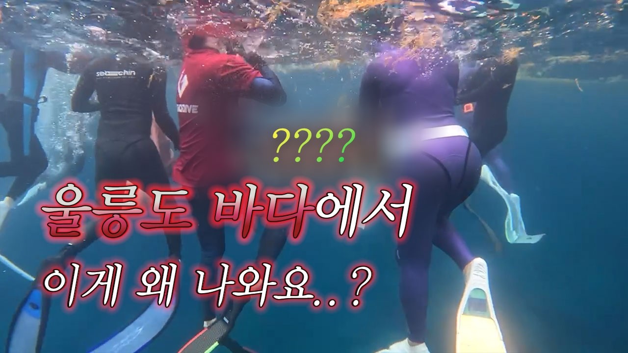 울릉도 바다에서 70인의 플로빙😎 바다 속 쓰레기 얼마나 많을까?