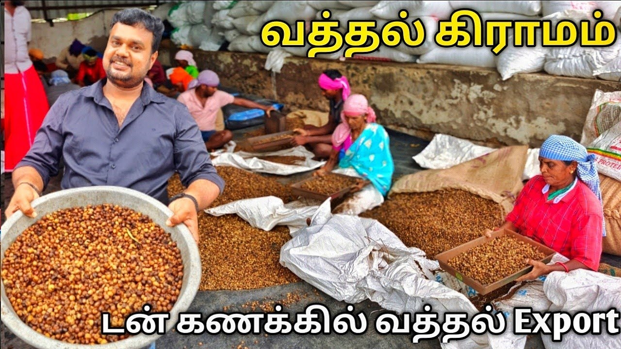 ஒரு கிராமமே 15 வகையான வத்தல் தயாரித்து | Export செய்கிரார்கள் | Yummy vlogs