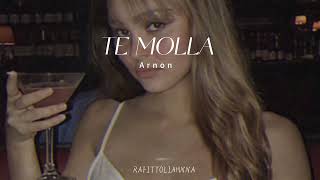 ARNON - TE MOLLA (2019 version) [Slowed] Resimi