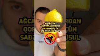 Thumbnail for Milçək və ağcaqanadlara qarşı 😊👍🏼