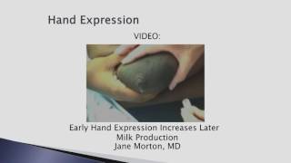 Maryland Hospital Breastfeeding Training Module : Session 12