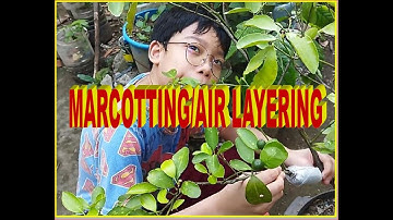 PERFORMANCE TASK IN EPP FOR VLOG